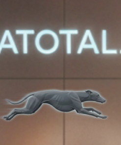 Gestor ASESOR  fiscal